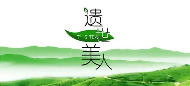 懂茶的姑娘  生活是这样的