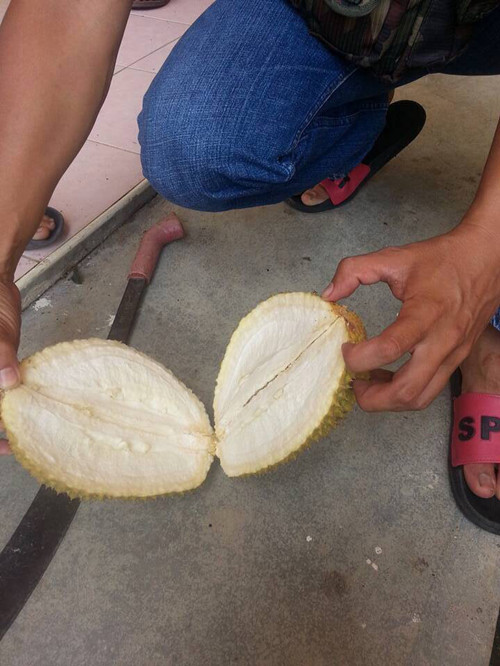 双十一买买买不吃土攻略 这样买护肤品就对了