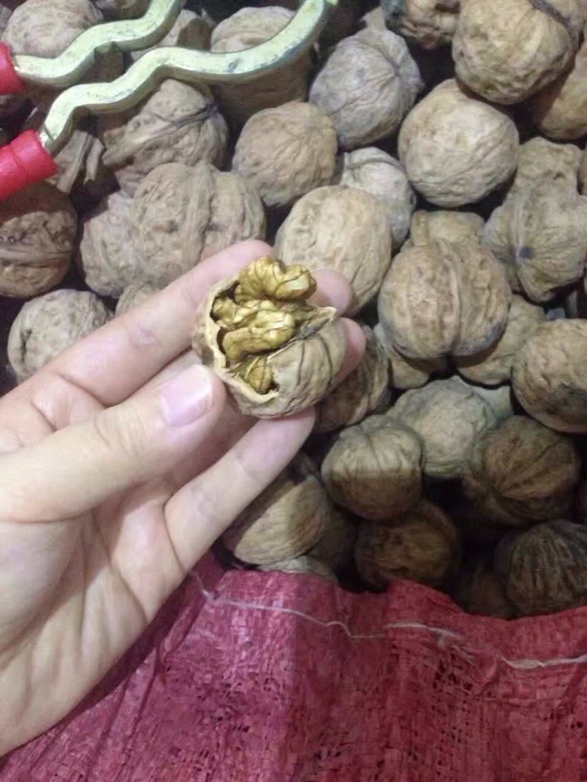 我与他的缘分成就了我们的淘宝之路