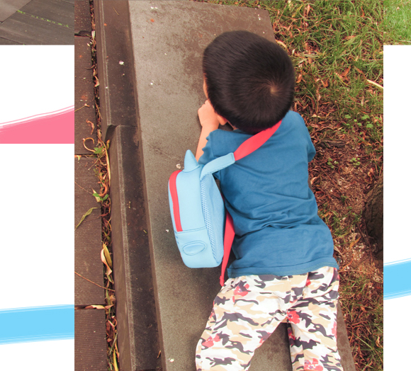 #我正当红#herry－充满奇幻的动物世界